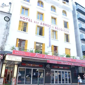 https://hotel-aux-armes-de-lourdes.midi-pyreneeshotels.com